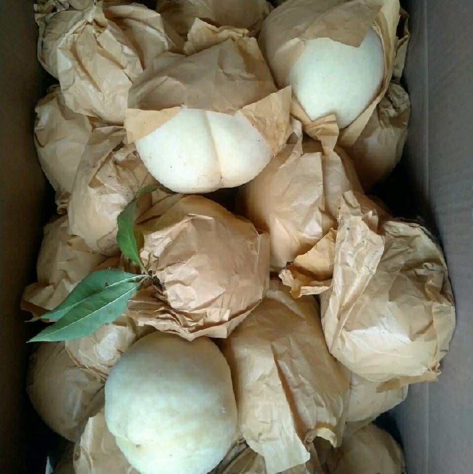 苹果桃  2021年优质大白桃白如玉独特的外表不一样的口感即将上市