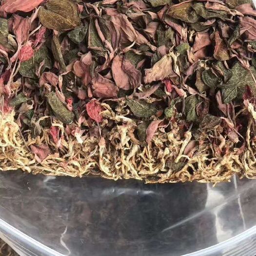 金秀县金线莲干货初级农副产品种植金线莲现货飘香金线莲