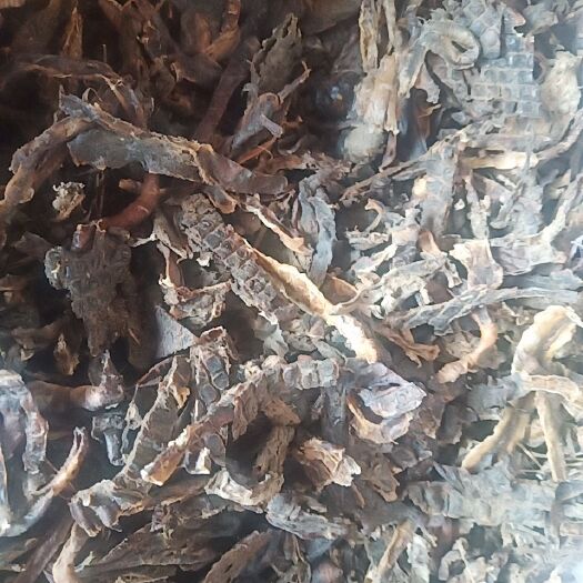 射阳县土地龙 地龙干，可用着捕黄鳝诱饵，也可以用着钓鱼投食引