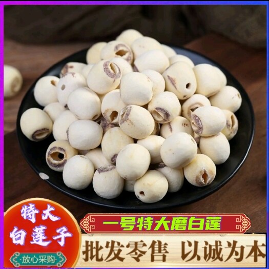 【一号特大白莲子】湘潭特产湘莲特大去心磨皮白莲子量大价优
