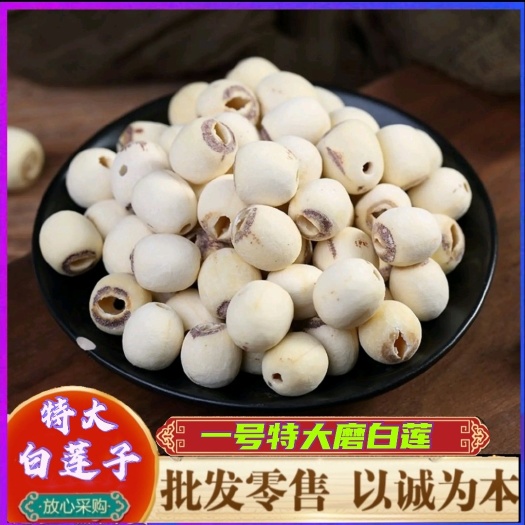 湘潭县【一号特大白莲子】湘潭特产湘莲特大去心磨皮白莲子量大价优