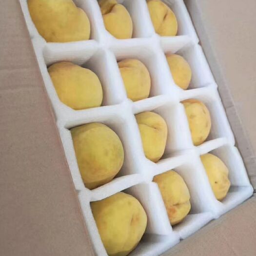 响水县 锦绣黄桃开始预订了