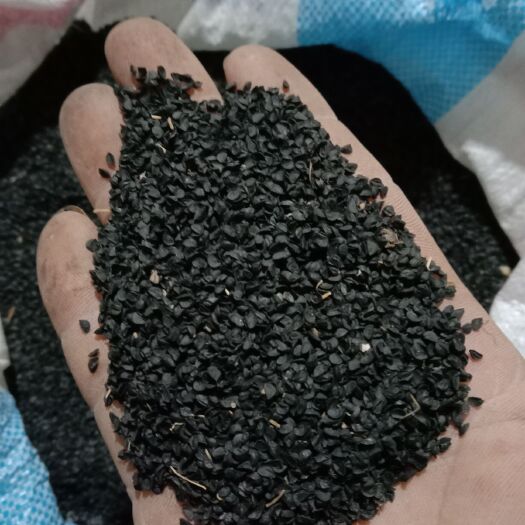 洛南县葱仔 葱籽