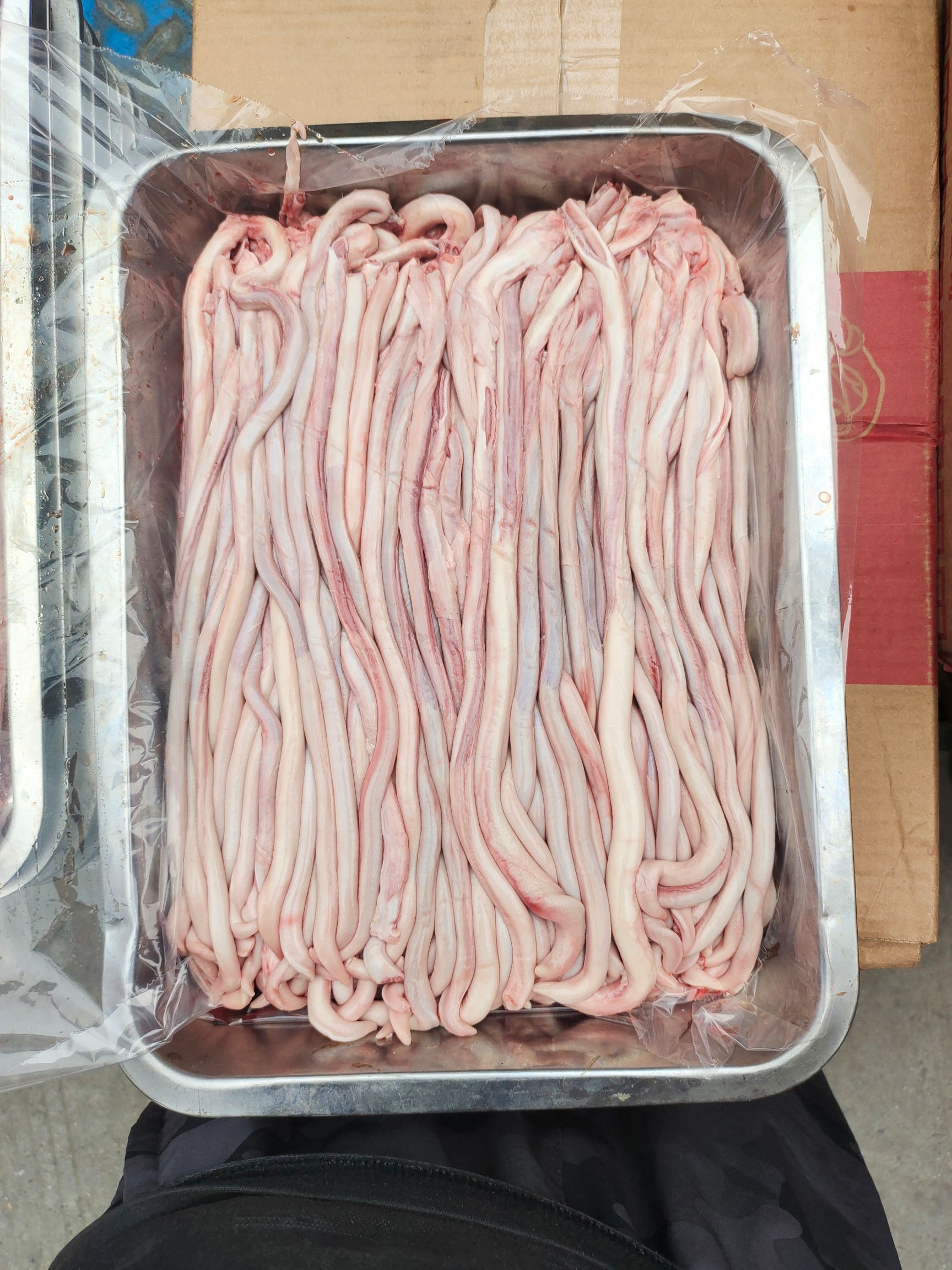 成都鲜冻肥猪鞭