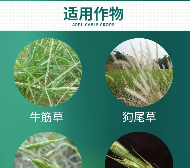 高效氟吡甲禾灵高盖杂草能花生大豆油菜禾本科杂草芦苇除草剂