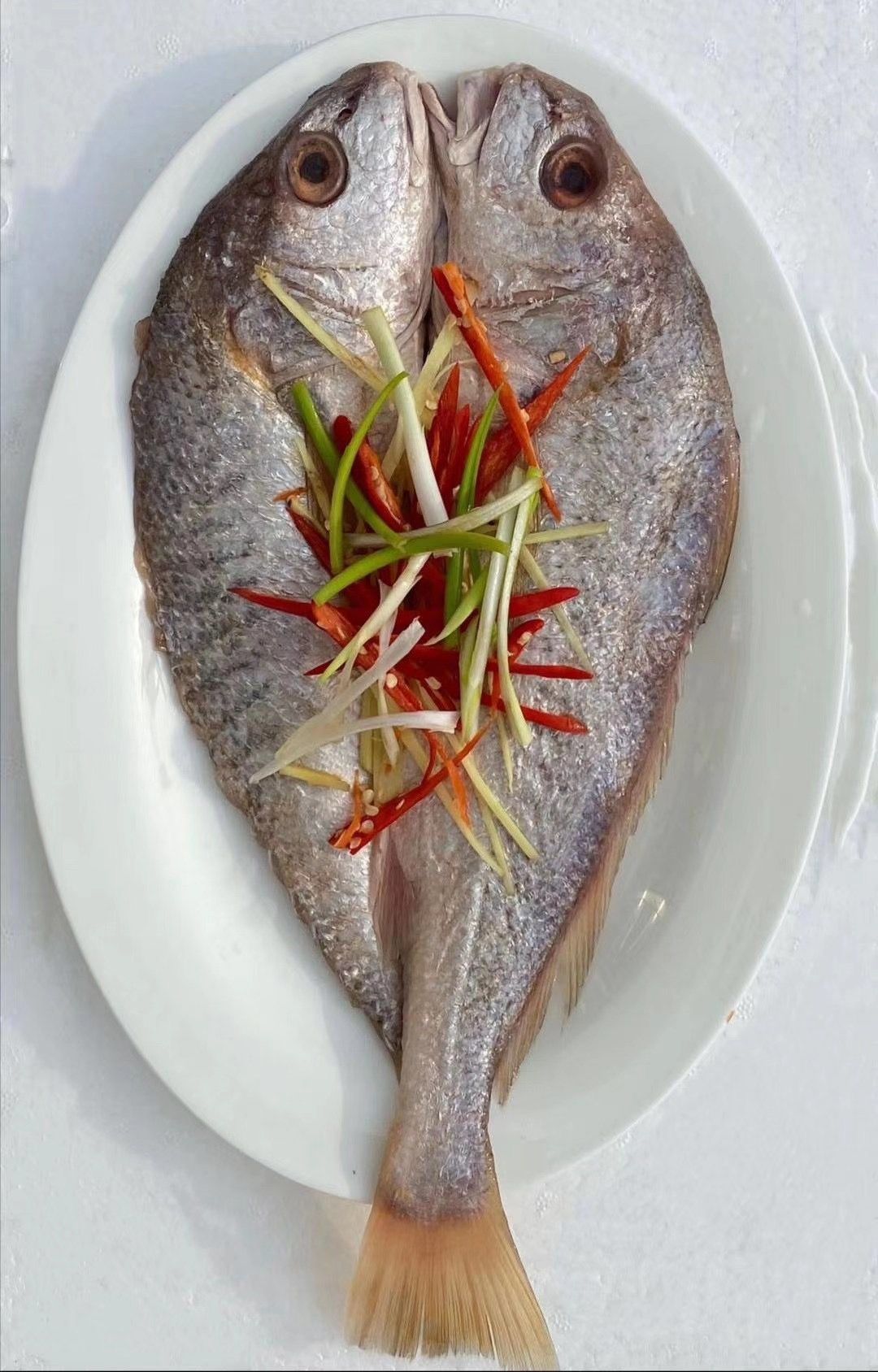 开背大黄鱼海捕大黄鱼黄鱼鲞新鲜冷冻三去大黄鱼新鲜活杀冷冻黄鱼