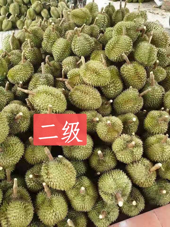 金枕榴莲带核榴莲肉，烘焙材料