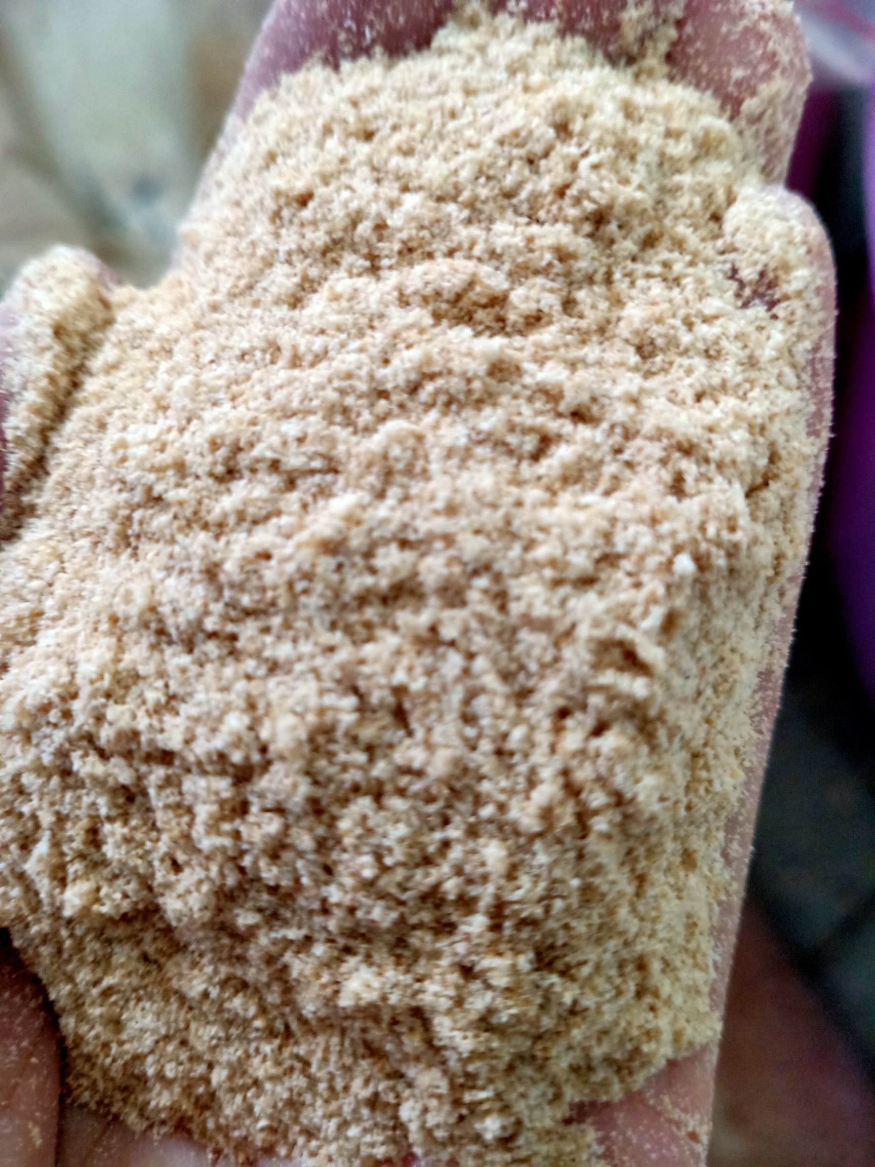 [麦麸批发]麦麸 金沙河五得利益海中粮特价麸皮出货价格2040元/吨