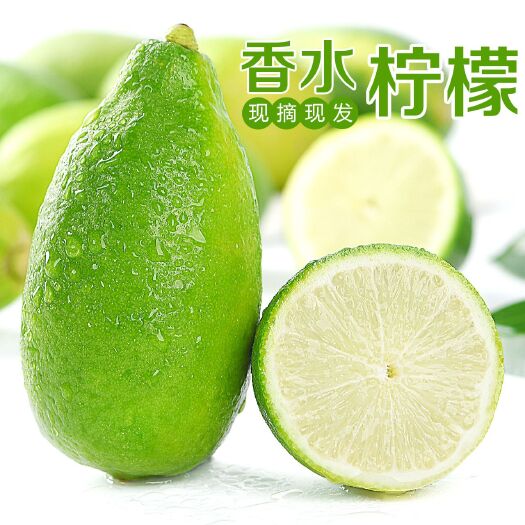 保亭县海南无杍柠檬香水柠檬新鲜水果5斤包邮奶茶整件批发