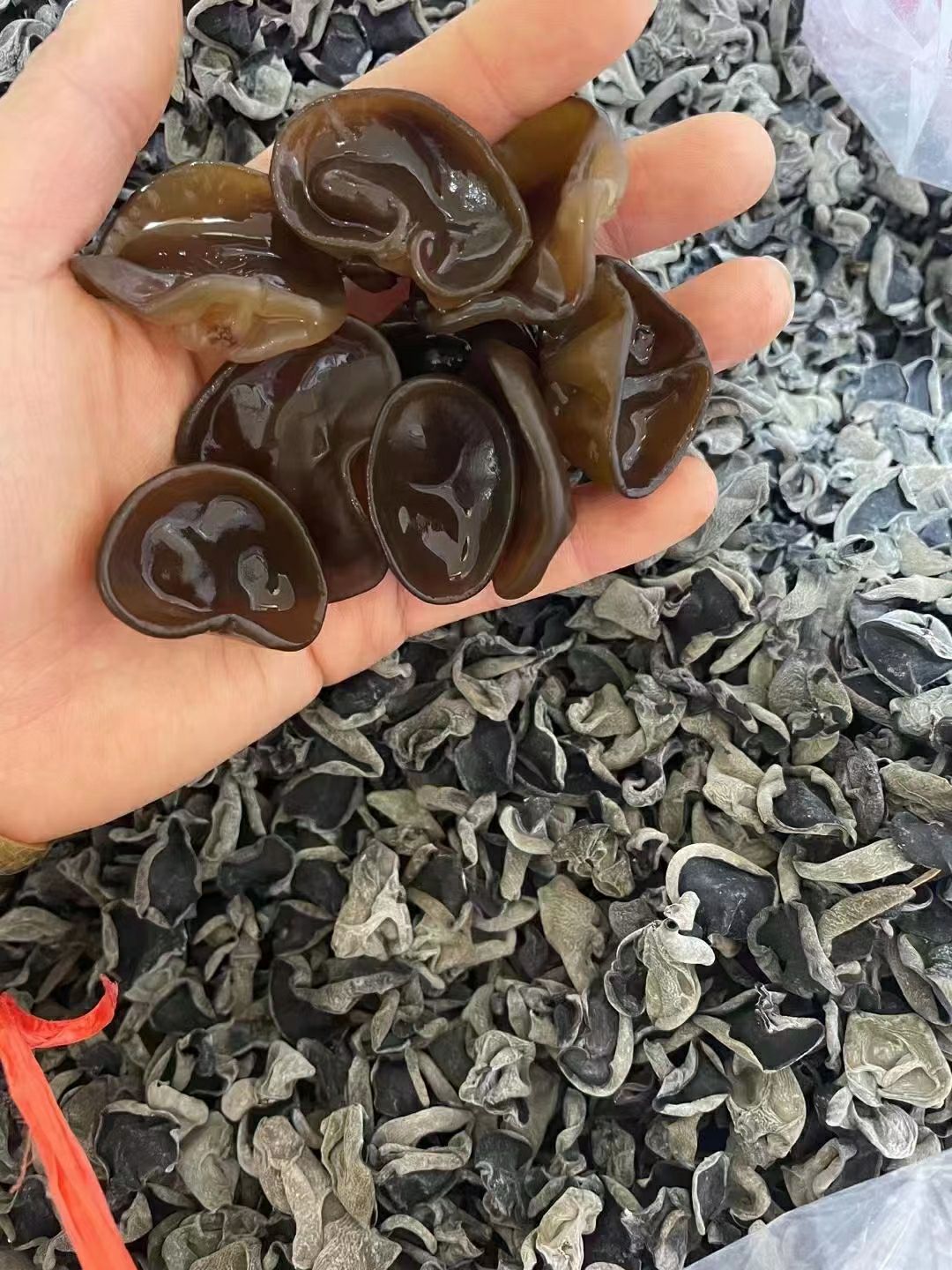 包邮 东北黑木耳 长白山秋耳 肉厚筋道