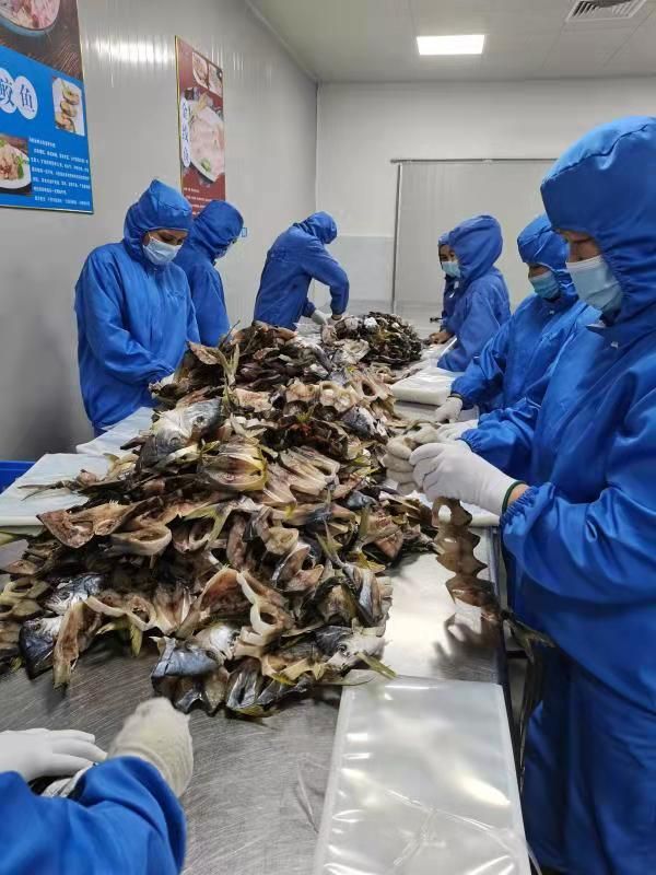 金鲳鱼，金枪鱼产地直供，企业自产自销，证件齐全，有检验报告