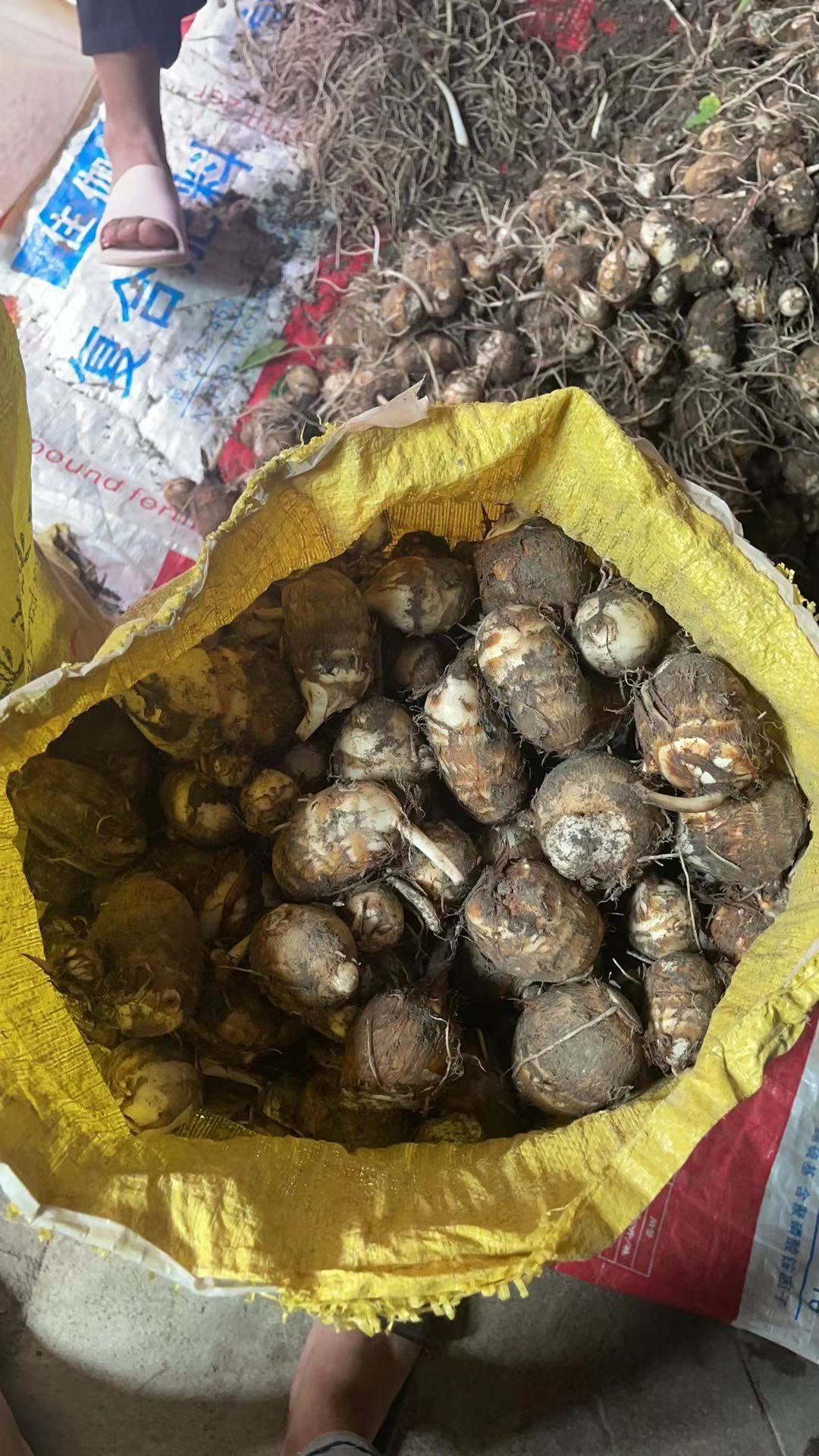 自家种的，白芋头，毛芋头