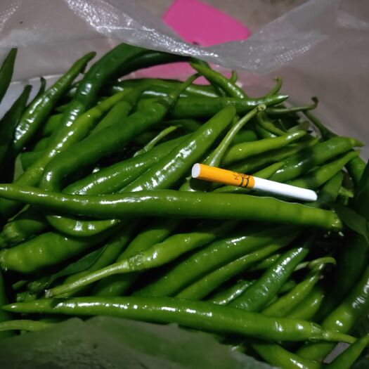 广南县辣椒  线椒，云南广南县城周边