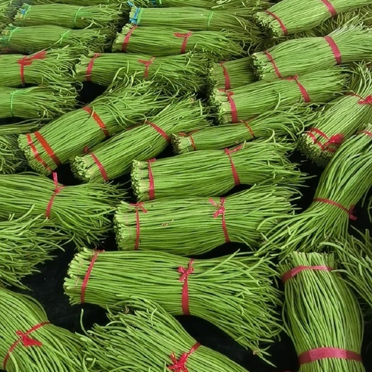 长豇豆  万亩长豆角，万亩基地，，大量有货，