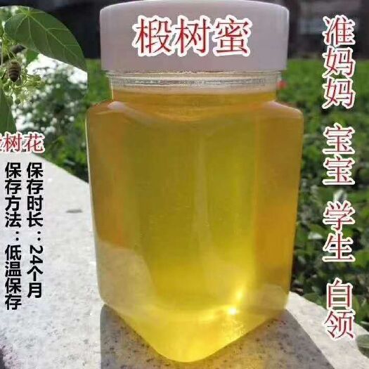 饶河县椴树蜜   饶河黑蜂椴树蜂蜜 2023年原蜜自家蜂场自产自销