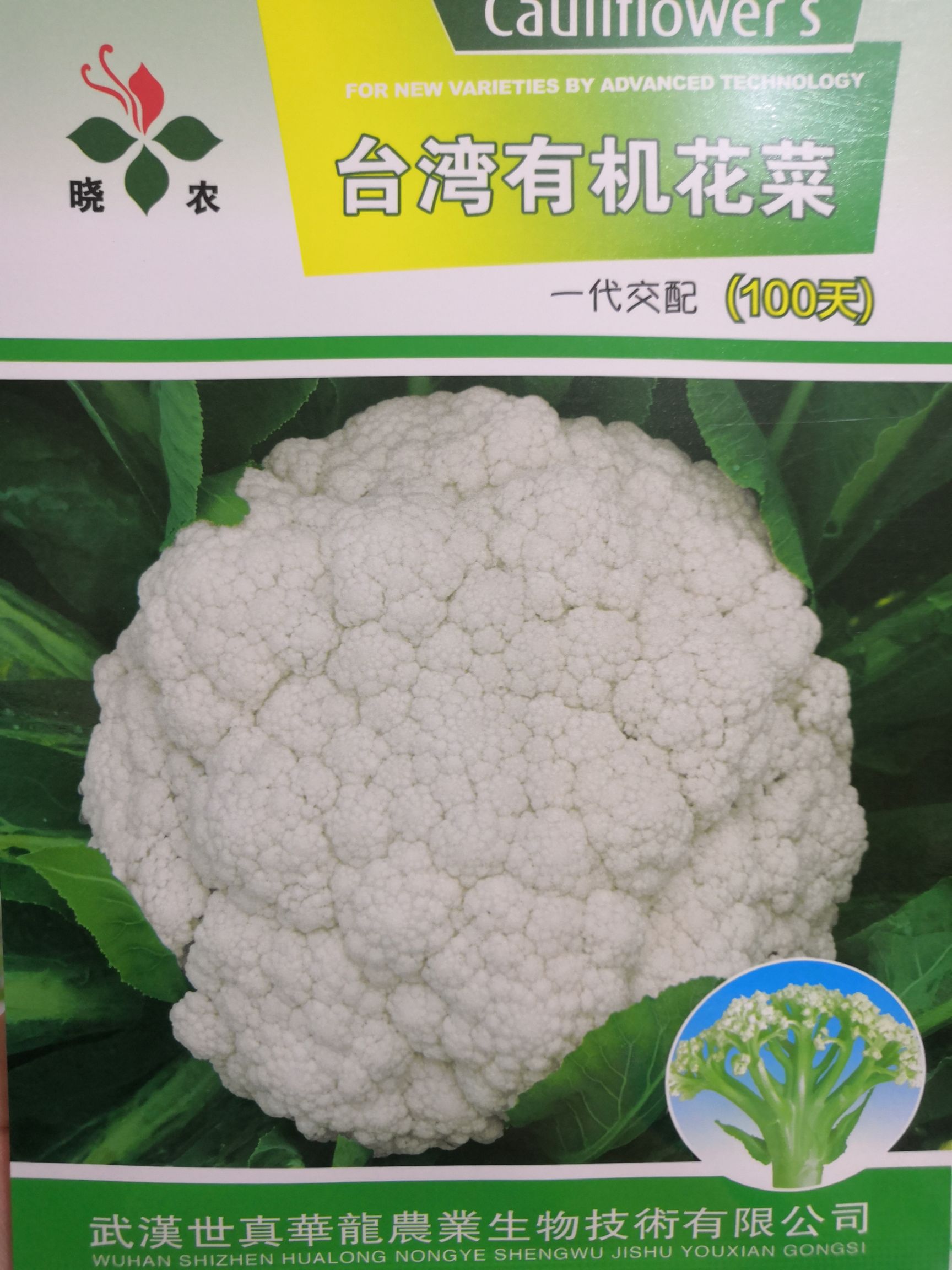  有机花菜青梗松花菜种子80/90/100/120天