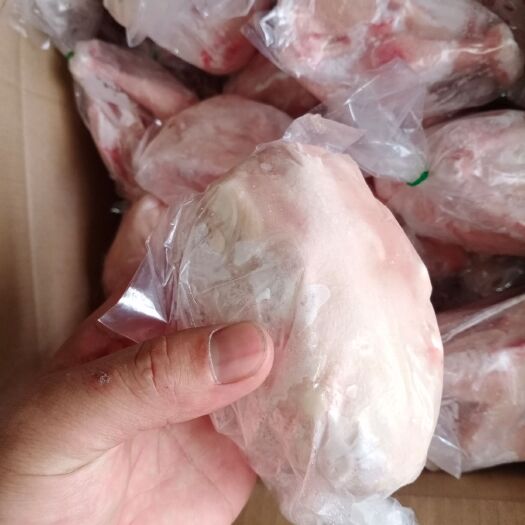 白條雞  出售西裝雞16只18只20只23只28只32只36只和小白條