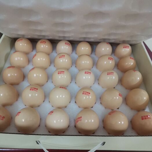 海口 精品谷物鸡蛋
