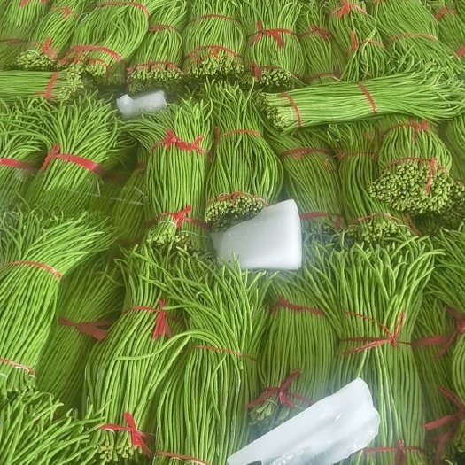 兰陵县长豇豆  万亩长豆角，豇豆大量上市，万亩基地，