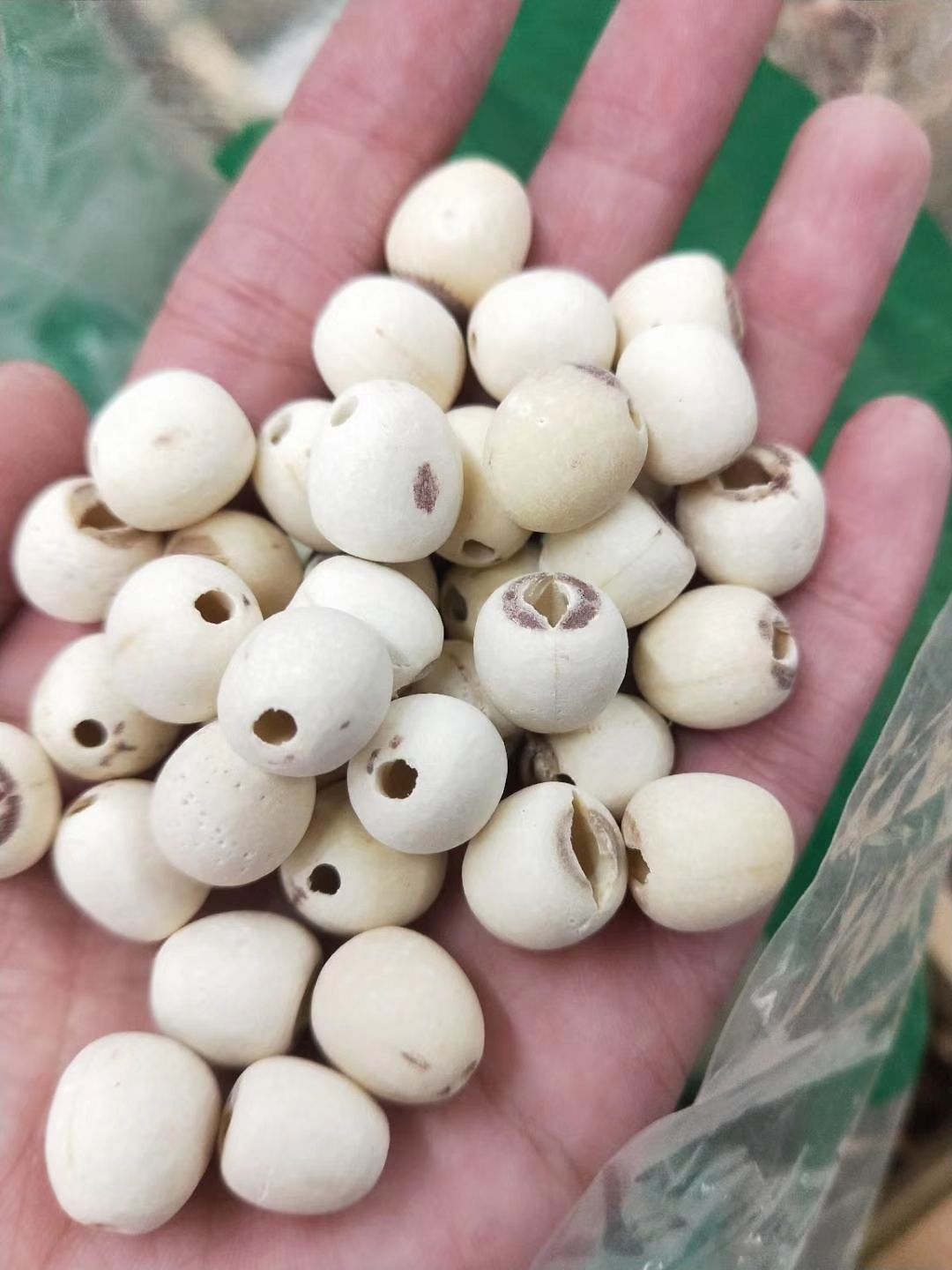 【一号特大白莲子】湘潭特产湘莲特大去心磨皮白莲子量大价优