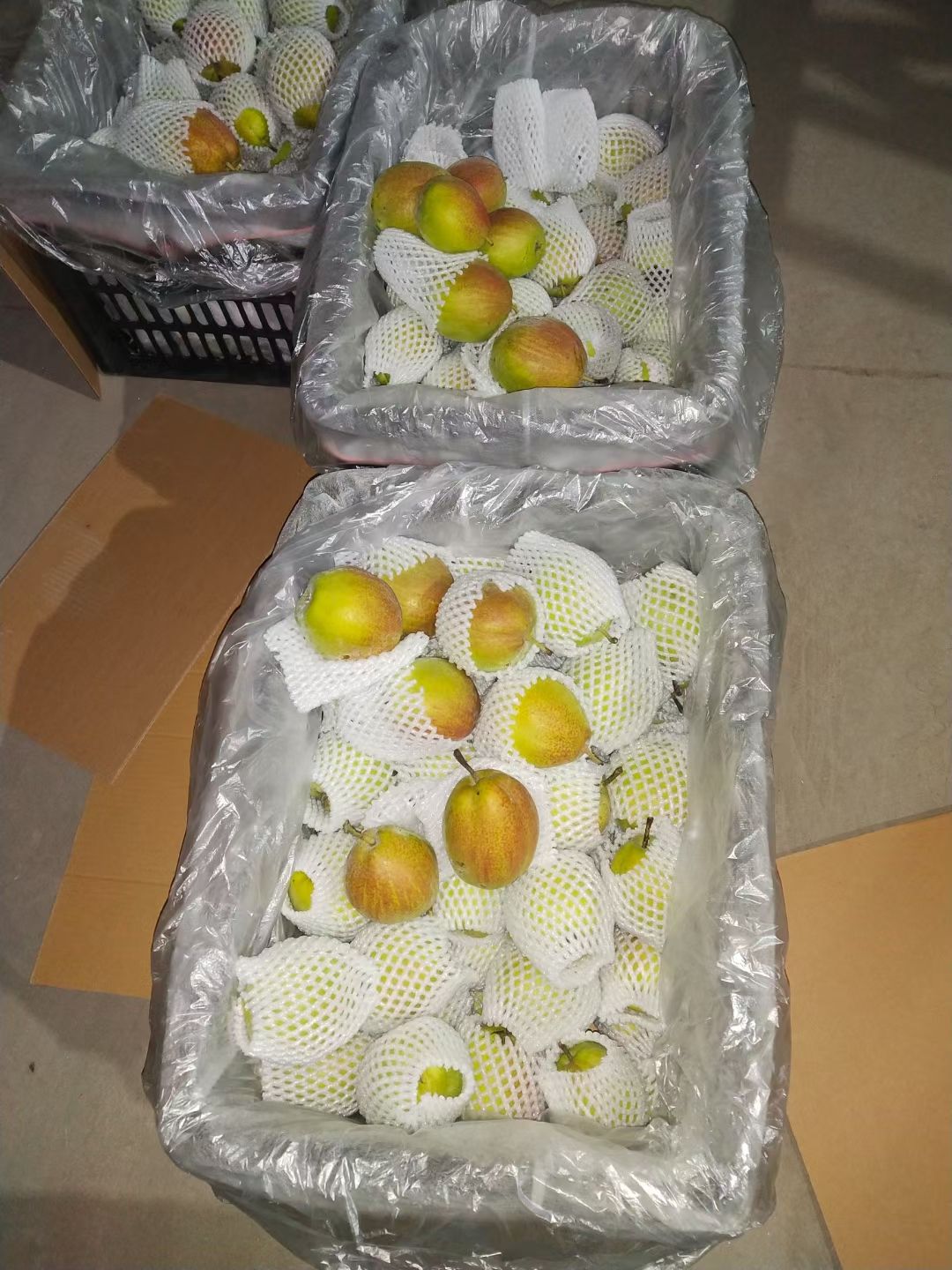 香梨新梨七号梨皮薄肉厚口感脆甜