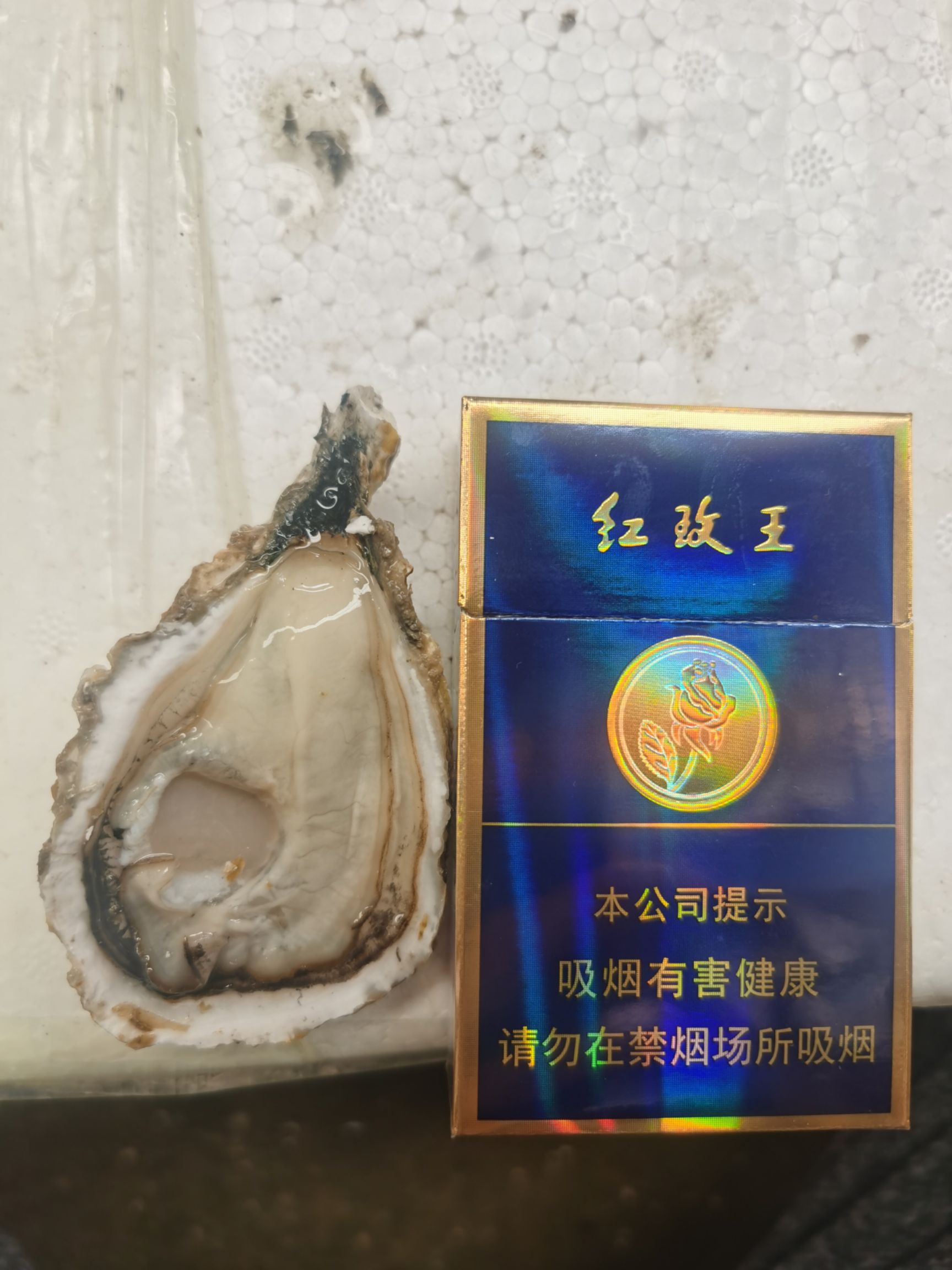 三倍体生蚝  台山三倍体1+ 不起粉 肉质脆甜 烧烤不爆浆 批发