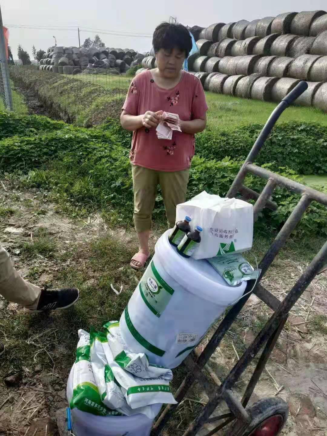 混合型饲料添加剂 清凉一夏