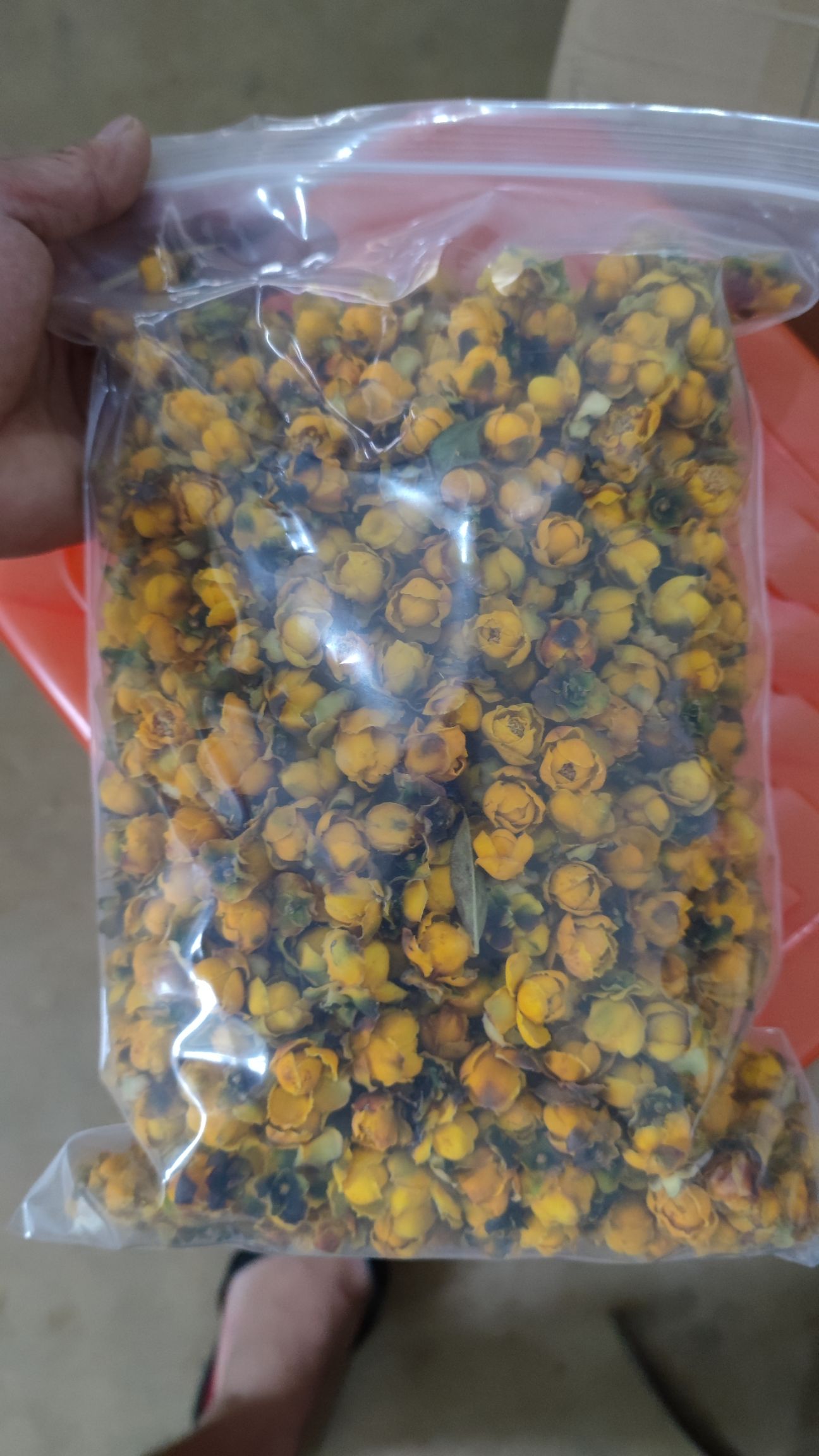 国宝金花茶精品烘干花一斤上千朵花花朵花蕾分类装