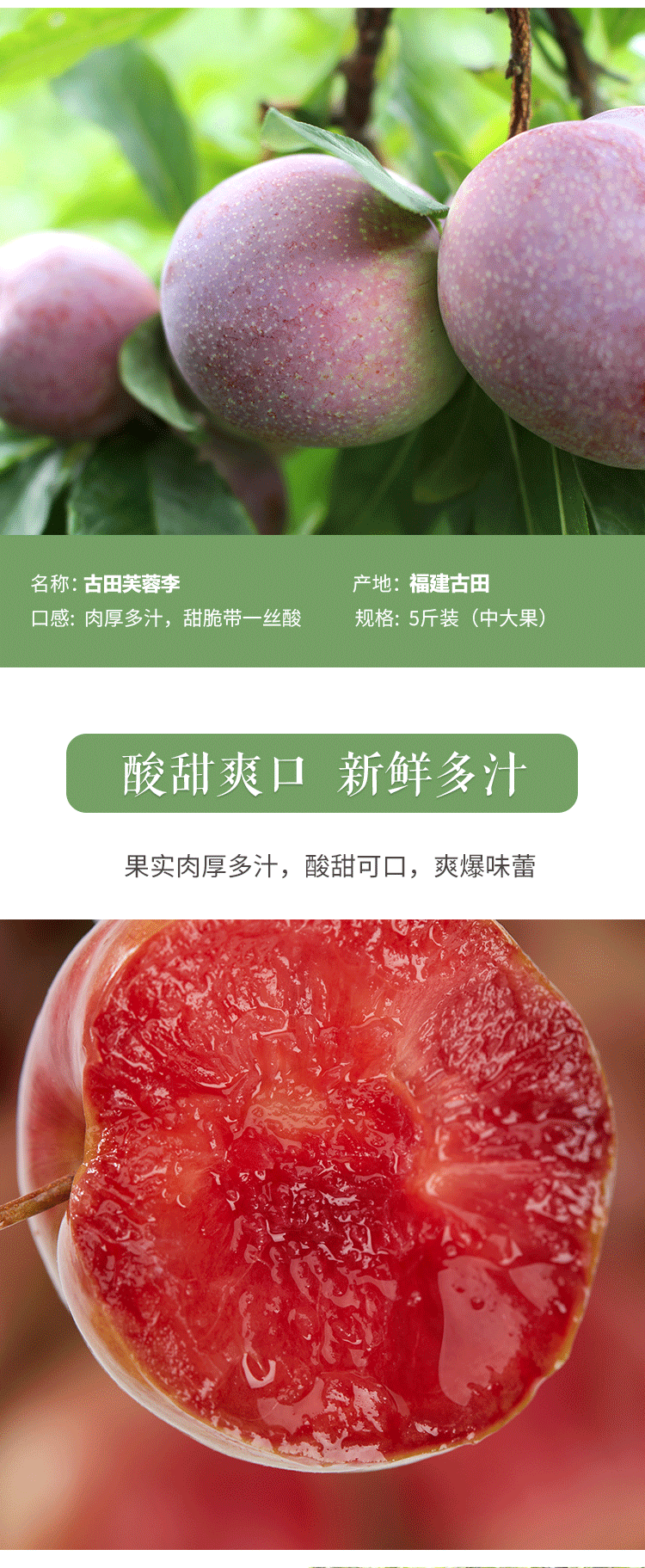 【福建甜李】正.宗红心新鲜红肉芙蓉李子现货现摘水果酸甜