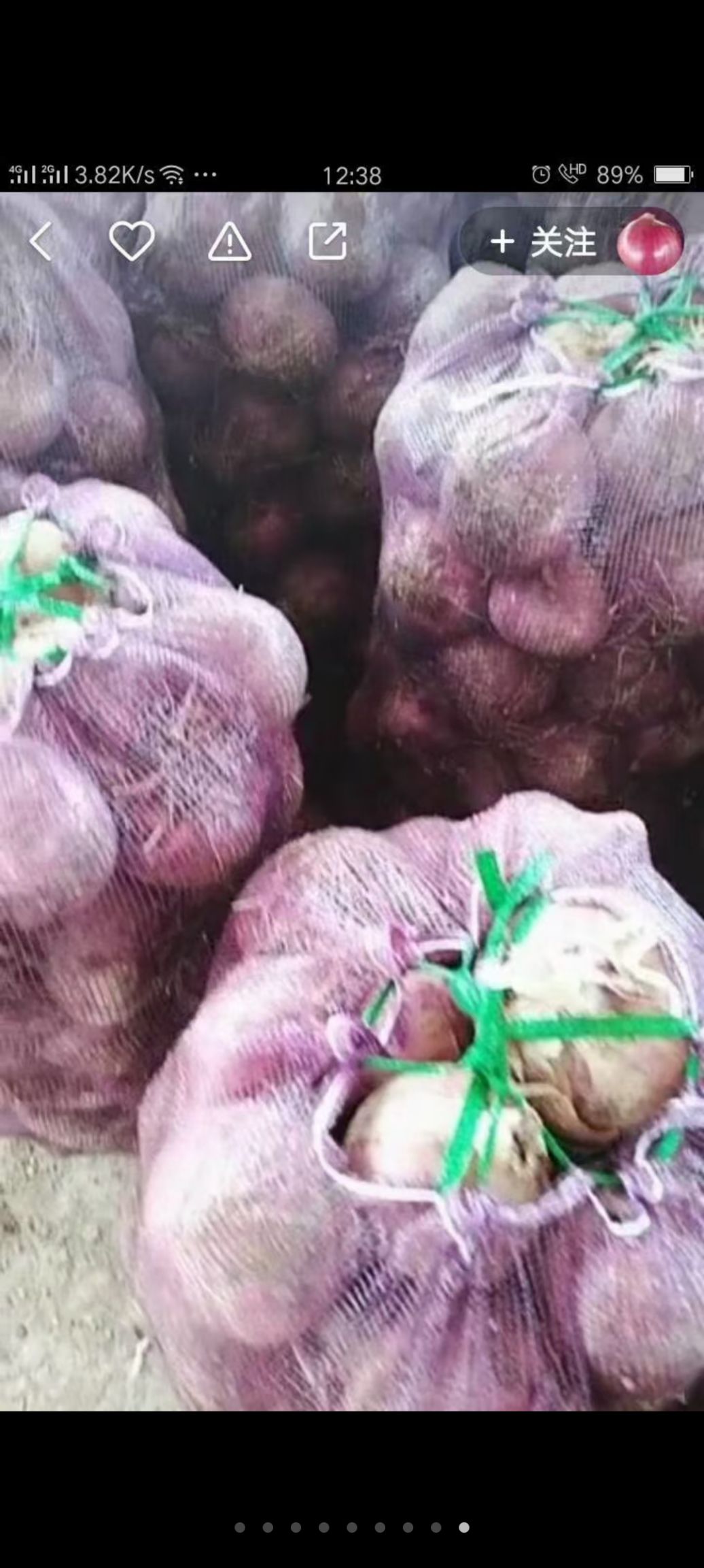 红皮洋葱  洋葱