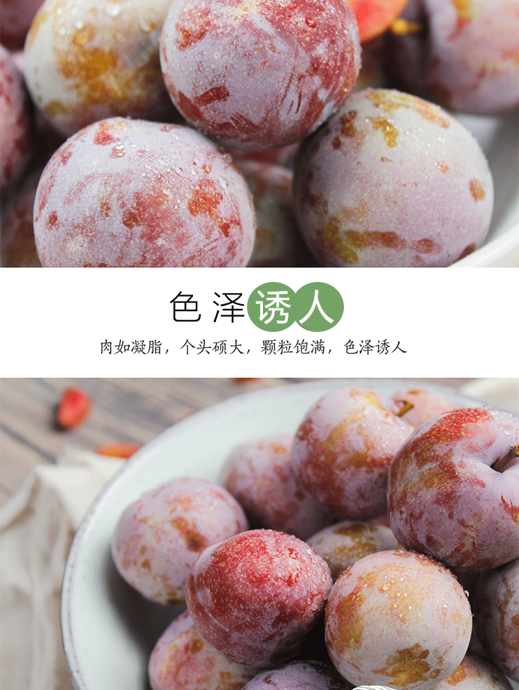 福建古田油奈+李红心芙蓉李双拼现摘现发