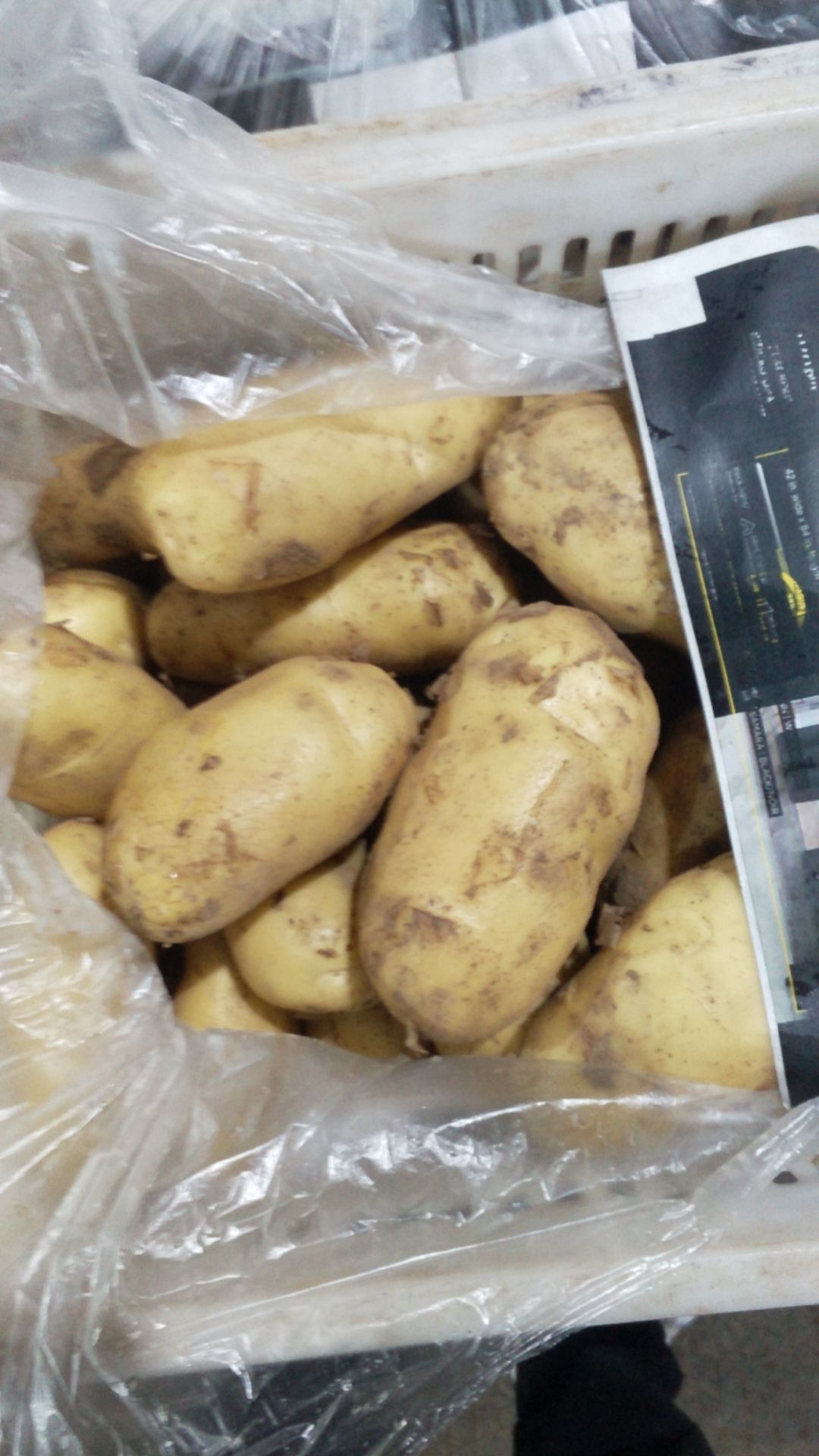 土豆，荷兰土豆