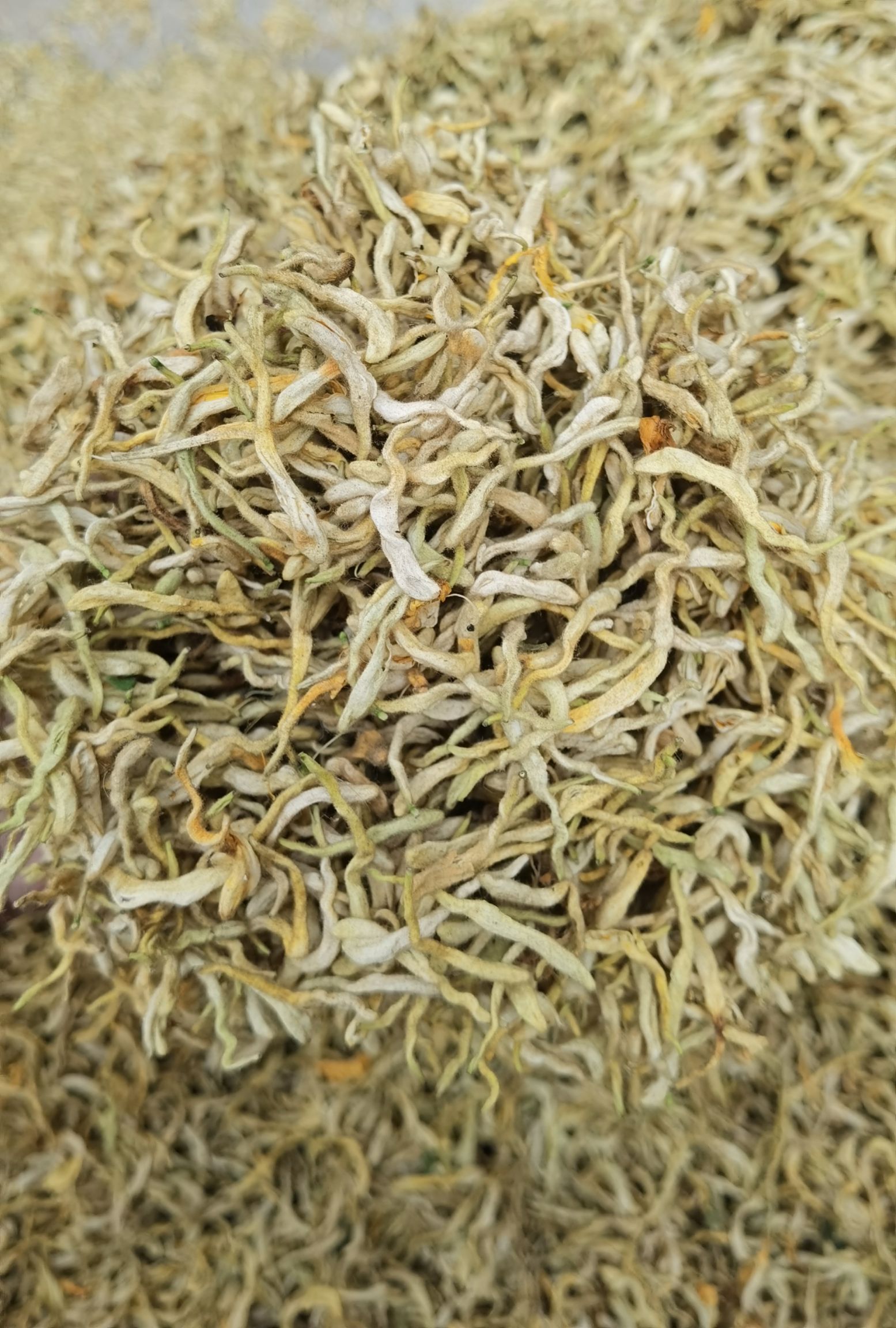 长年收购销售金银花 量大上门 提供种苗包回收可签合同