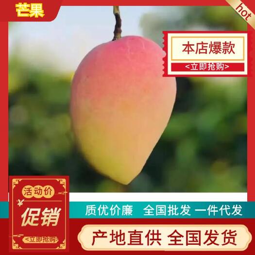 百色【当天采摘，新鲜到家】广西百色台农芒，香甜爆汁