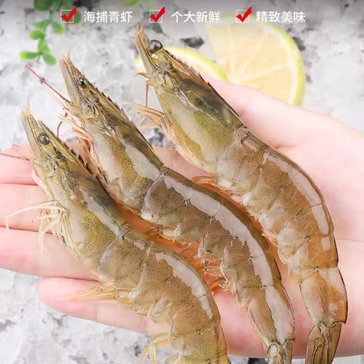青岛【青岛盐冻大虾 对虾】顺丰为主 新鲜海鲜 原产地直发3斤新鲜