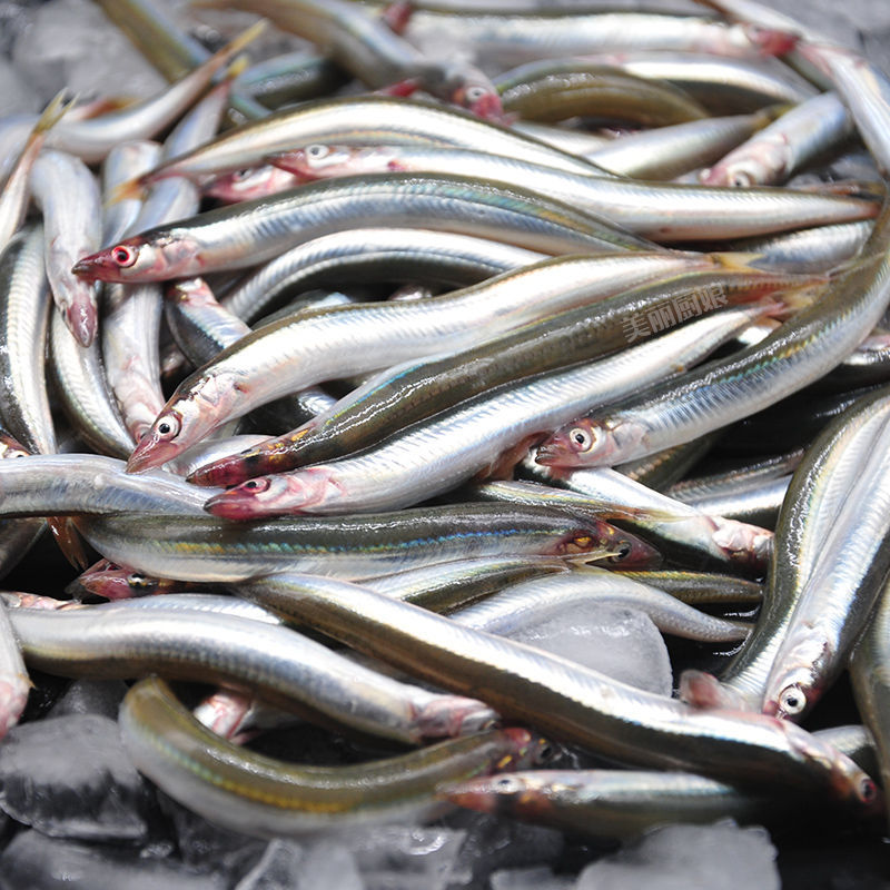  3斤包邮海捕ye面鲜活新鲜冷冻小银鱼