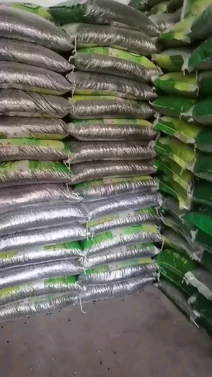 批发生黑豆青仁/黄仁 熟黑豆 绿心黑豆 黑豆粉用料熟黑豆