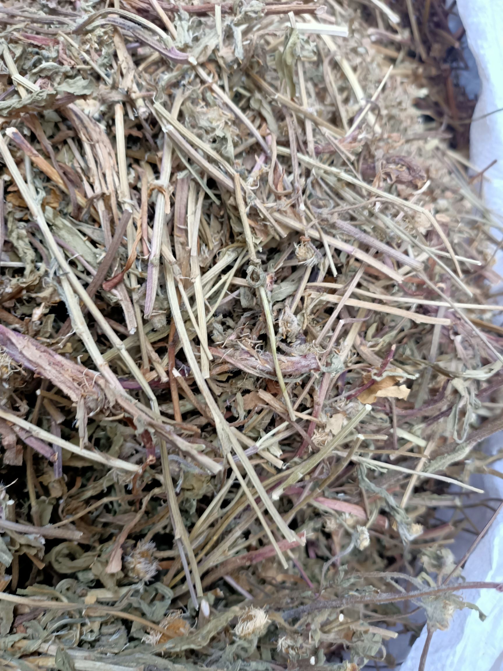  田氏原生草药店正品灯盏花 灯盏草 灯盏细辛 500克