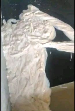 羊肠衣头路 22/24mm 干净新鲜