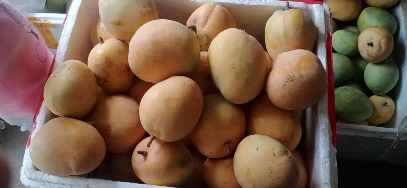 澳芒 云南省曲靖市会泽县