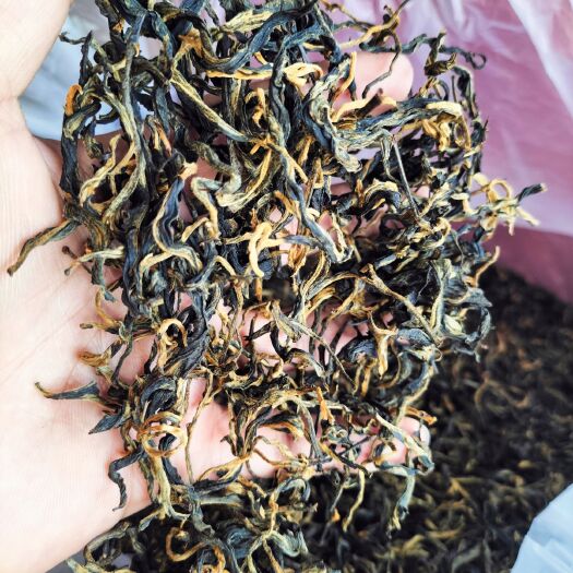 思茅滇红工夫  滇红