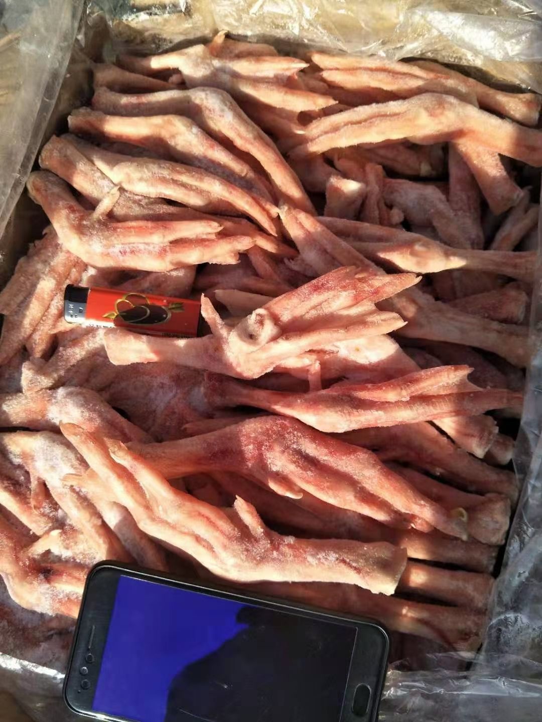 二节鹅掌，大小均匀，质量好价格低