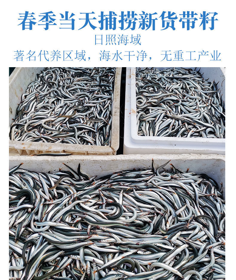  3斤包邮海捕ye面鲜活新鲜冷冻小银鱼