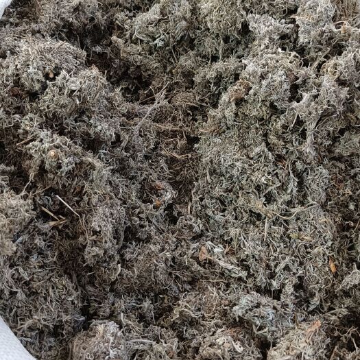 玉林统货无硫中草药绵茵陈别名白蒿、绒蒿、松毛艾
