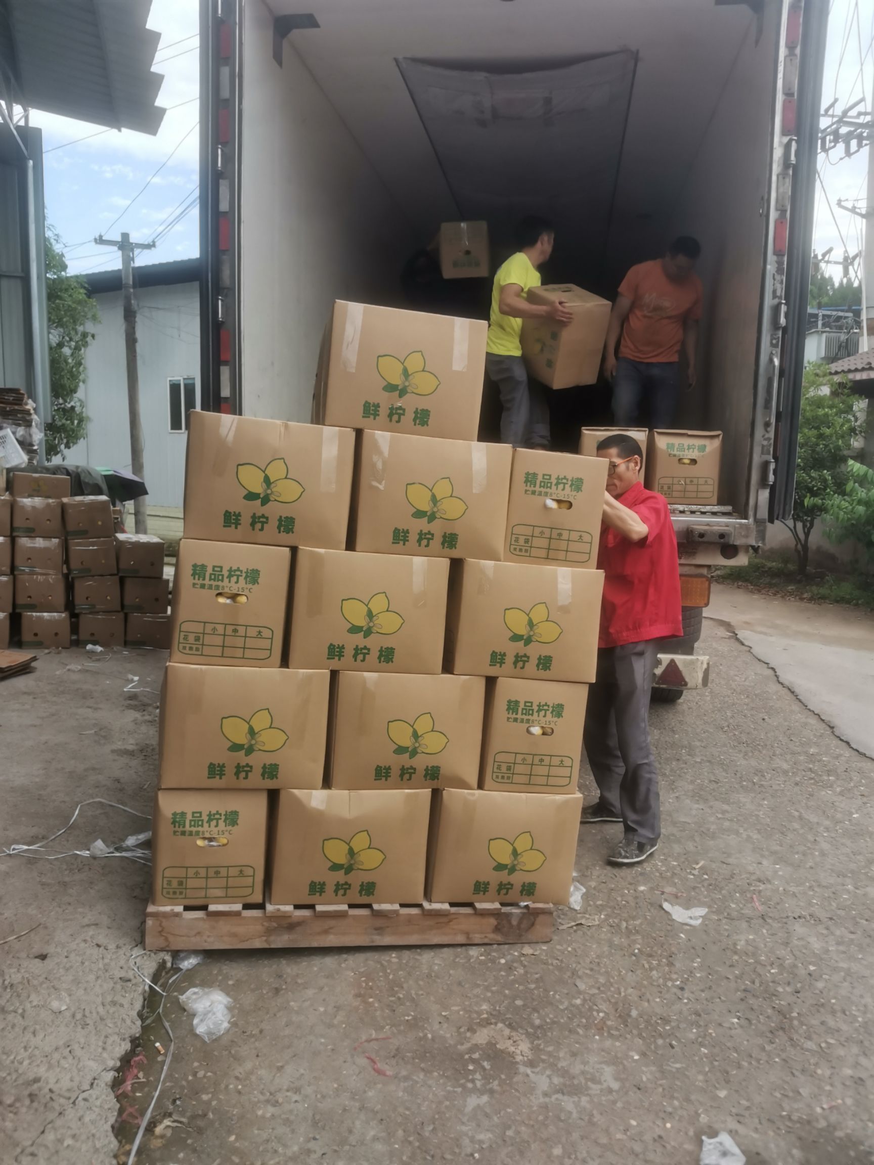 尤力克柠檬 柠檬安岳黄柠檬产地直发规格齐全市场货快递物流都接