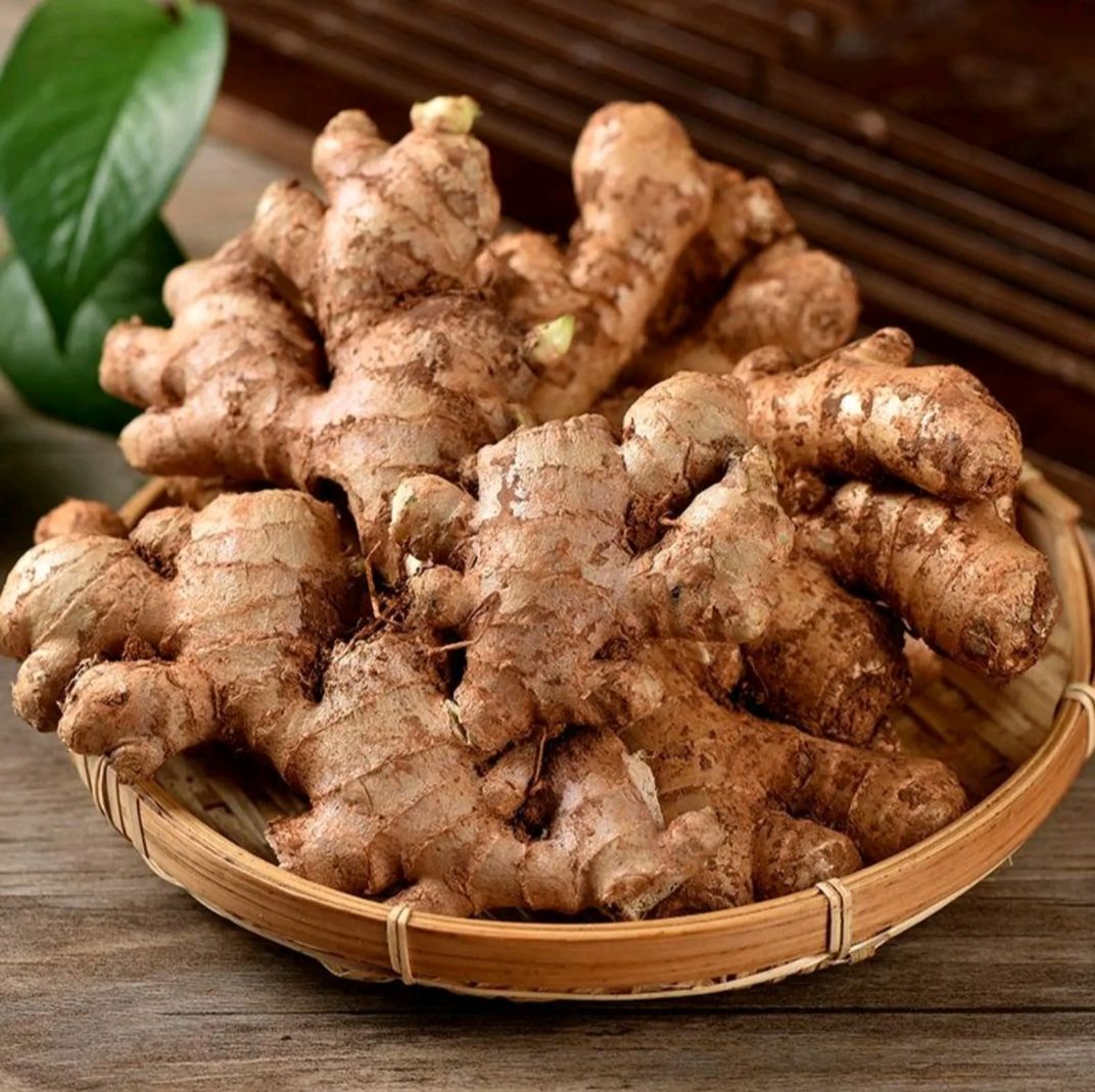  云南小黄姜 现挖