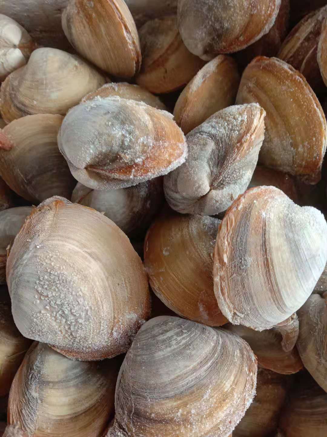 北极贝，冻货，一箱50斤，清库处理