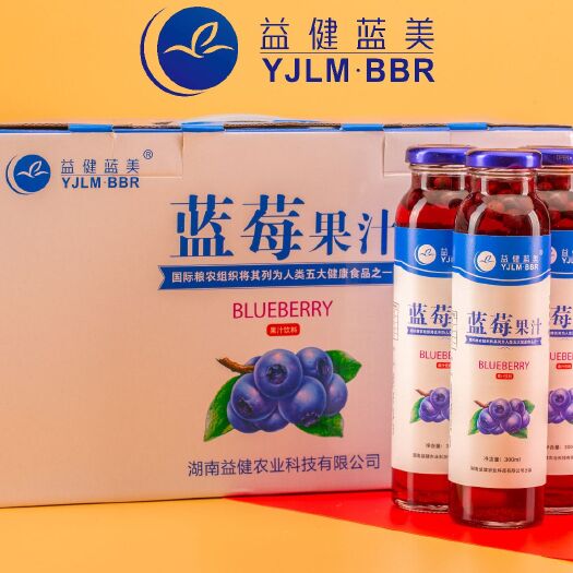 汨罗市蓝莓汁  蓝莓果汁