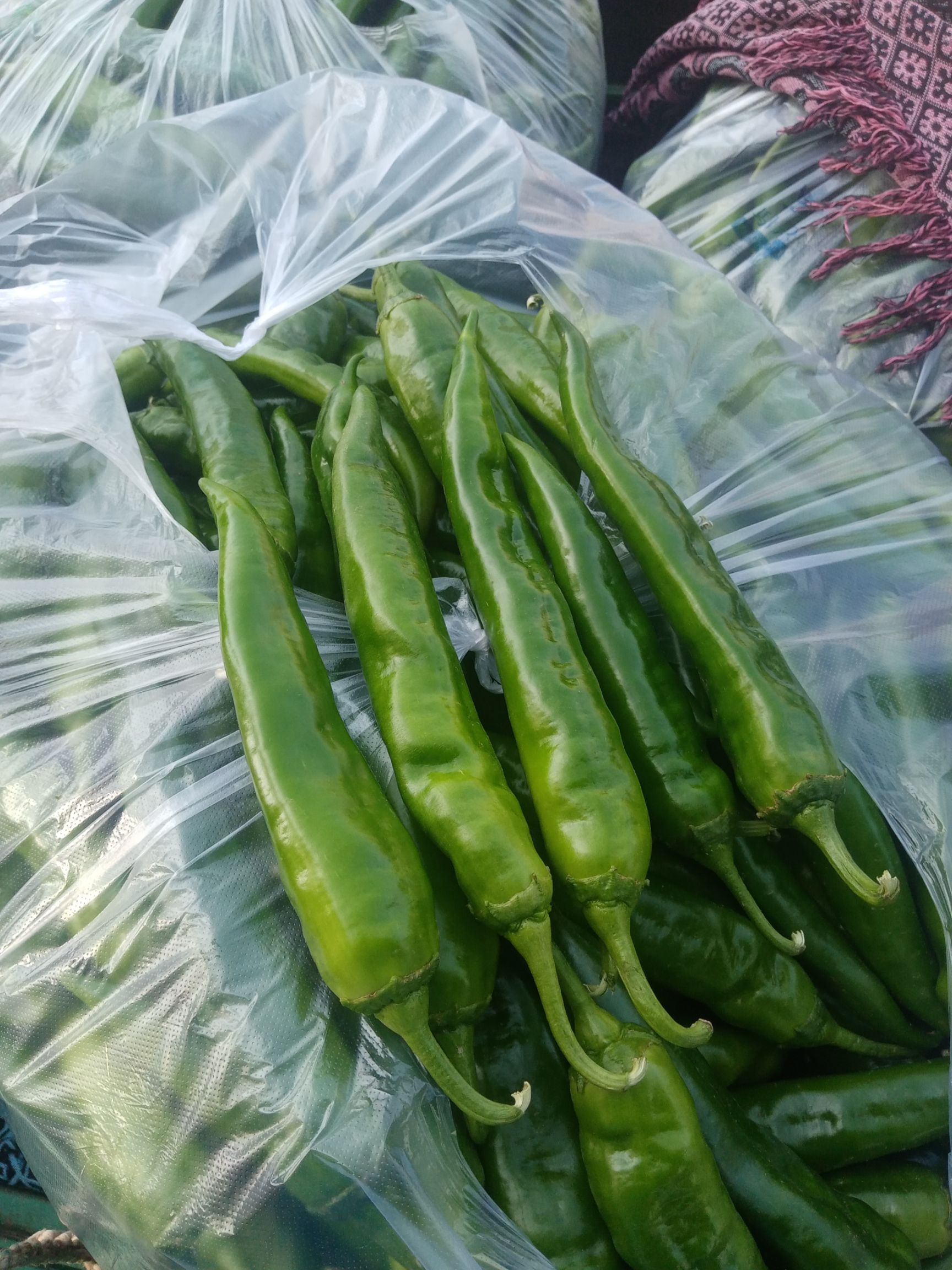 精品辣椒，绿霸16号，羊角椒，产地直供