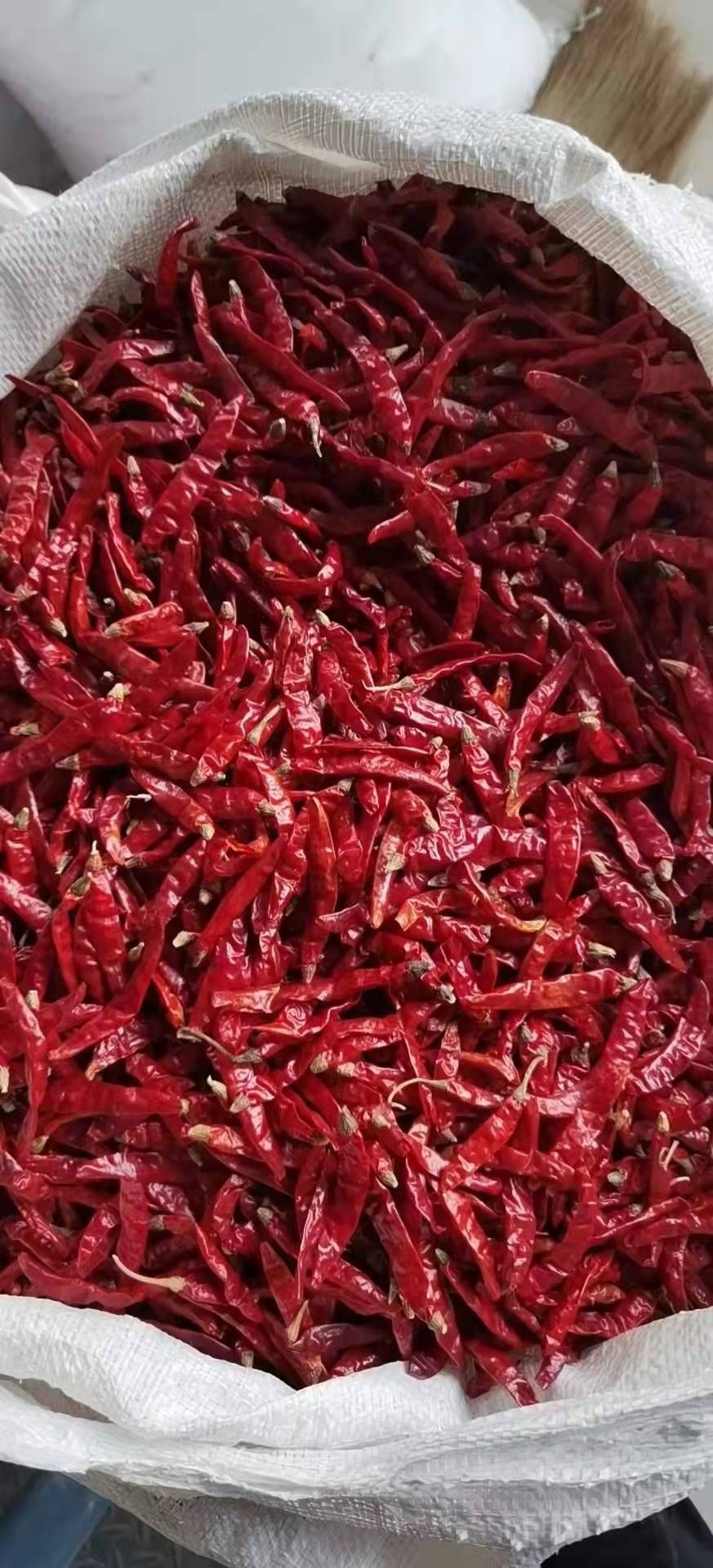 印度干辣椒  印度魔鬼椒干辣椒特辣特香超辣正品态红魔鬼辣椒王